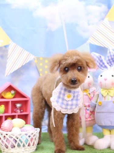 20240331チャタくん